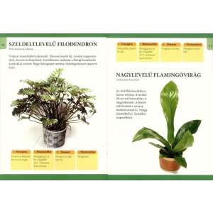 Otthonunk növényei 3. - Nagy levelű szobanövények 32804020 Kertészeti könyvek