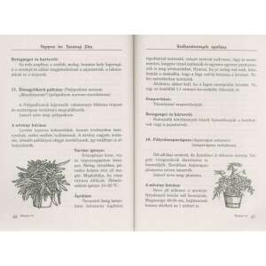 Szobanövények ápolása 32800493 Kertészeti könyvek