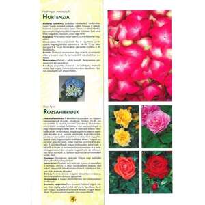 Kedvenc szobanövények 32803383 Kertészeti könyvek
