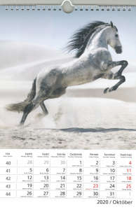2020 Pferdekalender, Oktober, weißes Pferd rennt im Sand - Schreibwaren & Schreibmaterial