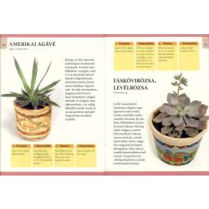 Otthonunk növényei 5. - Különleges szobanövények: húsevők, kaktuszok, kúszó szárúak 32801860 Kertészeti könyvek
