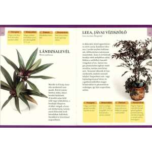 Otthonunk növényei 2. - Színes levelű szobanövények 32800777 Kertészeti könyvek