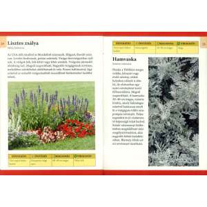 Otthonunk növényei 8. - Ágyásba való egynyári virágok 32802359 Kertészeti könyvek