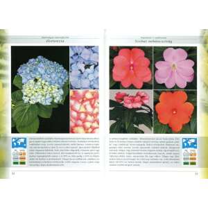 Növények a lakásban /Szállítási sérült / 32801130 Kertészeti könyvek