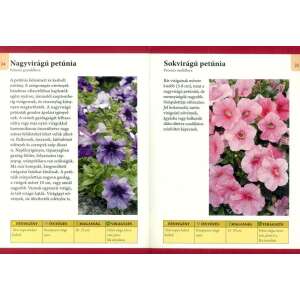 Otthonunk növényei 10. - Balkonládák egynyári virágai 32802108 Könyvek