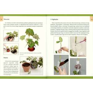 Otthonunk növényei 7. - Szobanövények gondozása 32802718 Kertészeti könyvek
