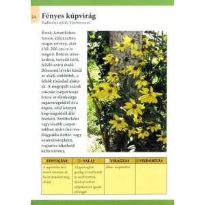 Otthonunk növényei 11. - Kerti tavak évelő virágai 32801687 Kertészeti könyvek
