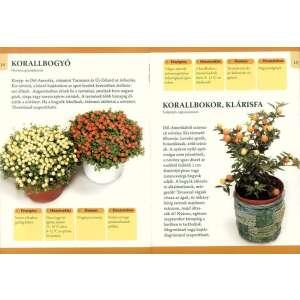 Otthonunk növényei 4. - Szobanövények kisméretű levelekkel 32804449 Kertészeti könyvek
