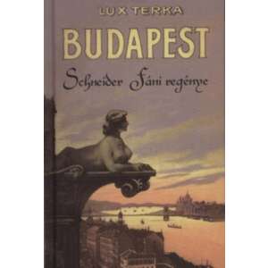 Budapest - Schneider Fáni regénye, Lux Terka regényének borítója, vintage illusztráció egy nővel egy épületen, a városra néző kilátással - Schneider