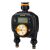 Fiskars 1054792 Czarny Cyfrowy timer nawadniania 84757703