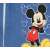 Disney Mickey nyári hálózsák 1,5tog - 80-as méret 32495806}