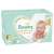 Pampers Premium Care scutece marimea 3, 6-10kg, 120 bucati cutie
