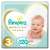 Pampers Premium Care scutece marimea 3, 6-10kg, 120 bucati cutie