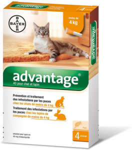 Advantage 40 spot on nyulaknak és macskáknak (4 kg-ig) (4 db pipeta) 4 x 0.4 ml 31449928 Bolha- és kullancsriasztó
