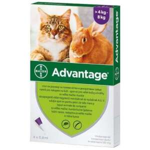 Advantage 80 spot on macskáknak és nyulaknak (4-8 kg között) (4 db pipeta) 4 x 0,8 ml 50595311 Bolha- és kullancsriasztó