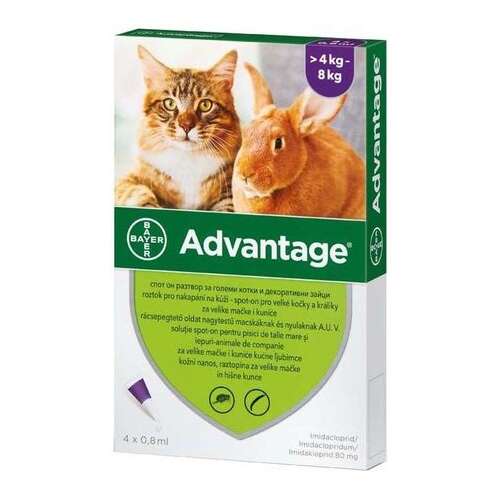 Advantage 80 spot on macskáknak és nyulaknak (4-8 kg között) (4 db pipeta) 4 x 0,8 ml