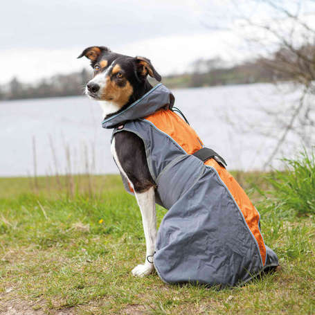 Trixie Solid szélvédő esőköpeny kutyáknak fényvisszaverő csíkokkal (XS | Haskörméret: 34-62 cm | Háthossz: 30 cm) 31450719