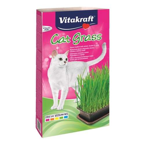 VITAKRAFT CAT GRASS zestaw dla kota 120g 31994555