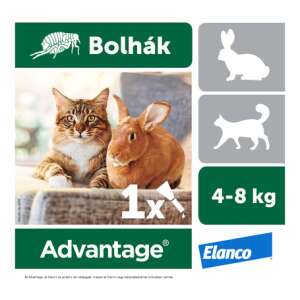 Advantage 80 spot on macskáknak és nyulaknak (4-8 kg között) 0,8 ml 50595079 Bolha- és kullancsriasztó