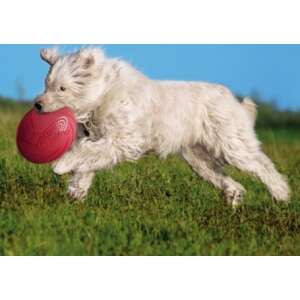Trixie Dog Activity gumi frizbi (24 cm) 94907803 