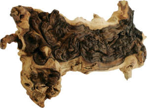 Mopani vasfa akváriumba (1400-2000 g) 31456154 