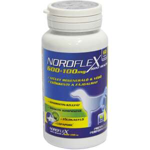 Noroflex 600+100mg 60db ízületvédő, fájdalomcsökkentő rágótabletta 32002628 Táplálékkiegészítők, kisállat tápszerek