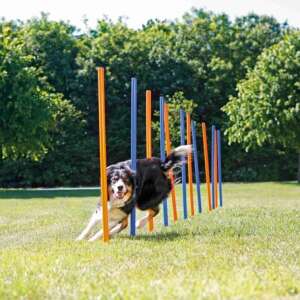 Trixie Dog Activity agility szlalom szett (12 rúd; Magasság: 115 cm; Átmérő: 3 cm) 46864100 Kerti tó