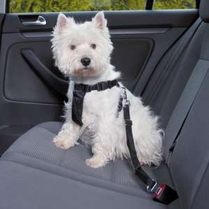 Trixie autós biztonsági öv + hám kutyáknak (S; Haskörméret: 30-60 cm | pl. Westie) 31466493 
