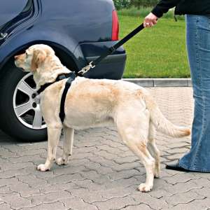 Trixie autós biztonsági öv + hám kutyáknak (M; Haskörméret: 50-70 cm; pl. Border Collie) 31466494 