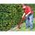 Man using Einhell GC-ET 2522 electric grass trimmer to trim grass