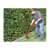 Man using the Einhell GC-ET 2522 electric grass trimmer to trim the edges of a lawn