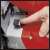 Einhell TC-SM 216 miter saw power switch