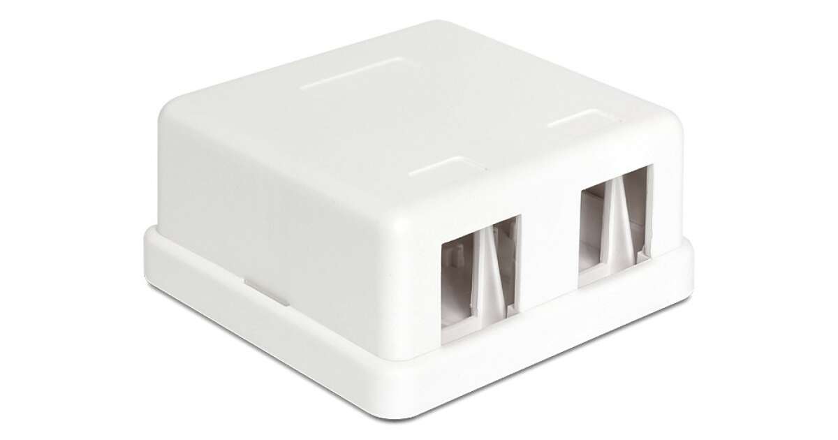 Delock Keystone 2 Port Wandmontagebox 57348549