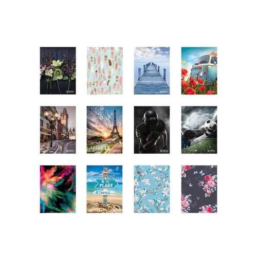 Herlitz 12 mintás kártyatartó 6 zsebbel, különféle minták