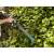 Gardena EasyCut Li-40 14.4V Cordless Hedge Trimmer trimming a hedge