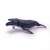 Papo Humpback Whale Figurine, realistic, detailed, movable jaw, black and white, toy for kids