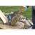 Gardena 1600 S splitting axe in use, chopping wood