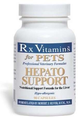 RX Vitamins Hepato Support tabletta (90 db)