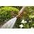 Gardena Classic Spray Nozzle in use, watering plants in a garden