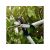 Fiskars PowerGearX™ Metal Gear Pruner (L) 31592229