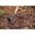 Fiskars Ergo™ Hand Cultivator, black, with orange handle, used in garden