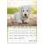 DAYLINER Kalender, Wand, DAYLINER, "Hunde" 31542953}
