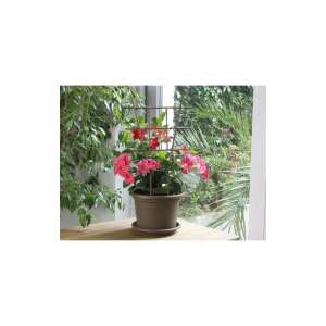 Növényfuttató rács 2db műanyag 49x29cm csatlakoztatható KINZO