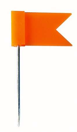 Narancssárga térképtű zászlóval, WEDO