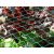 Heavy-duty Bird Netting 4x10 75393878