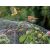 Plasa de protectie impotriva pasarilor, 4 x 10 m 75393878