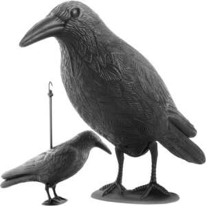Holló bird scarer, black plastic crow decoy for garden pest control - Iso Trade