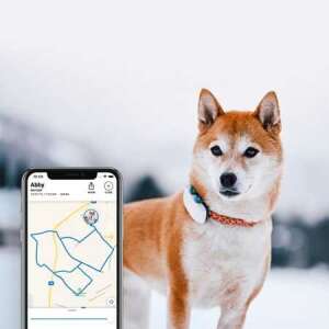 Tractive GPS DOG 4 – GPS nyomkövető és aktivitásmérő kutyáknak 58103381 