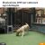 IMOU Bullet 2S Beltéri IP Kamera - 1080p Full HD 103482743