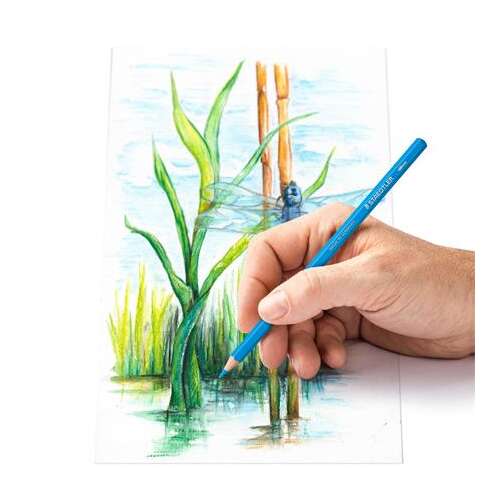 STAEDTLER Design Journey Aquarellstift, blau, verwendet zum Zeichnen einer Libelle